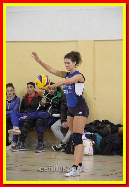 140305 Primula 085_tn.jpg